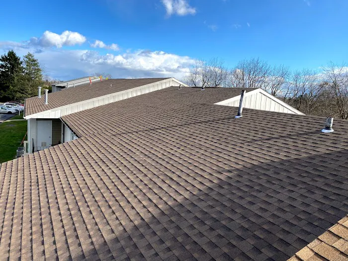 Allison & Sons Roofing Services LLC Picture 1