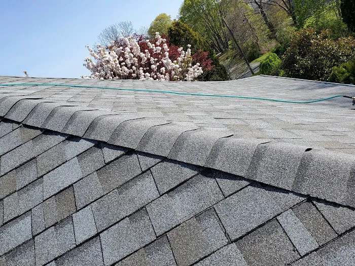 Bucci Roofing+ LLC Picture 9