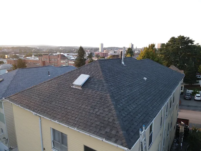 Pinkman Roofing Picture 9