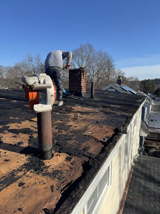 Pinkman Roofing Picture 2