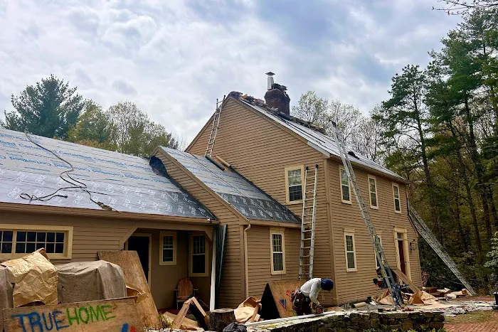 TRUEHOME Roofing Picture 8