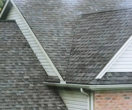 Roof100