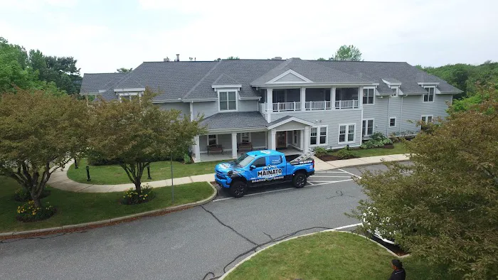 Mainato Restoration Picture 5