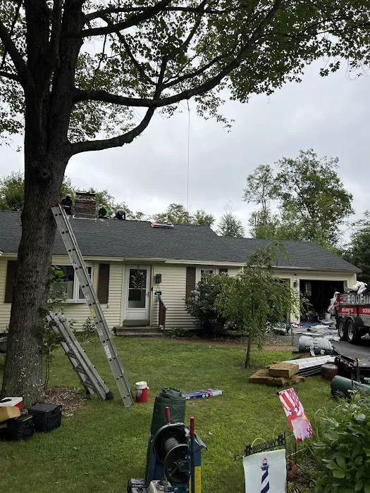 D'Eramo Contracting Picture 3