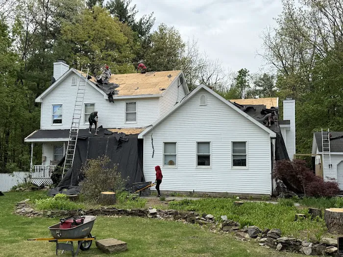 Rooftop Titans Picture 2