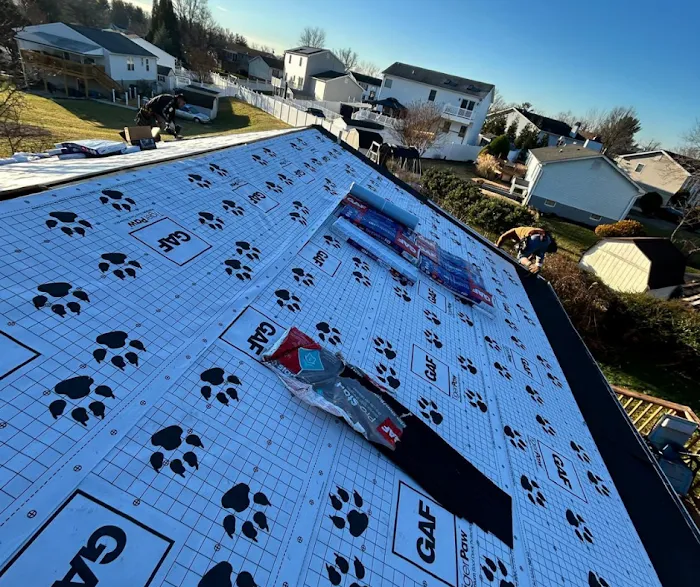 Excel Roofing Picture 1