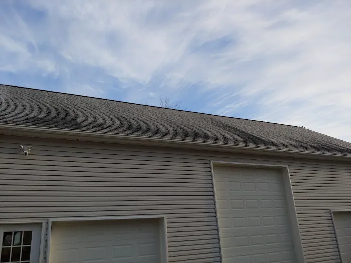 Bel Air Foam & Roofing Picture 2