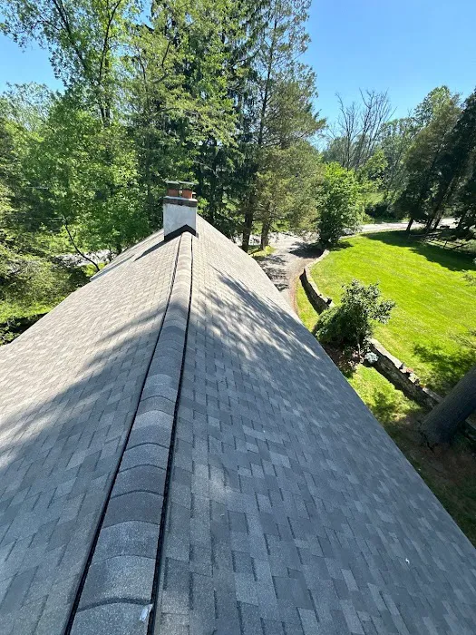 ALP Roofing Picture 10