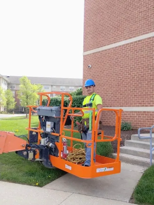 1st Amazon C.S.LLC/ Roofing & More Picture 9