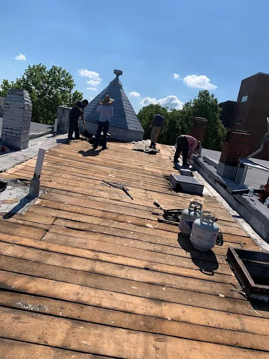 High Quality Roofing Home Improvement Picture 6