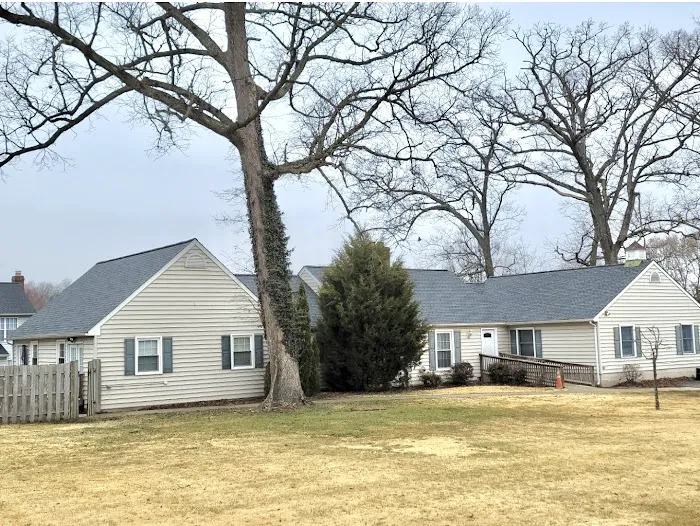 Roofs Are US Picture 3