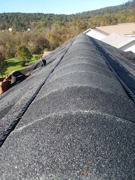 HARTZ ROOFING Picture 2