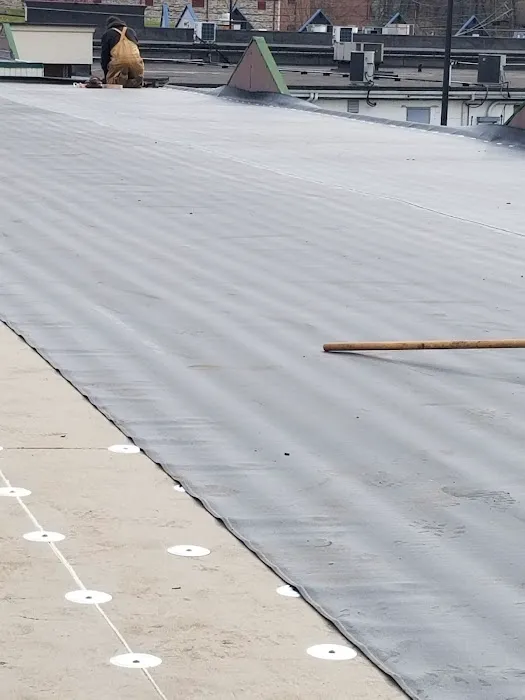 HARTZ ROOFING Picture 9