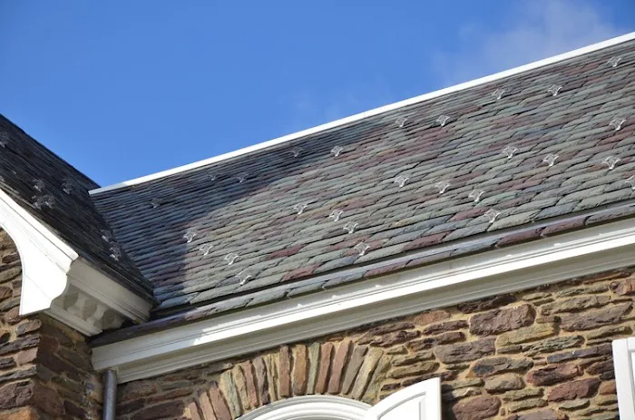 David M. Maines & Associates, Inc. Picture 4