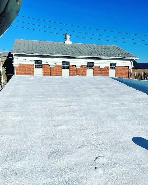 ROOFX Roofing Picture 6