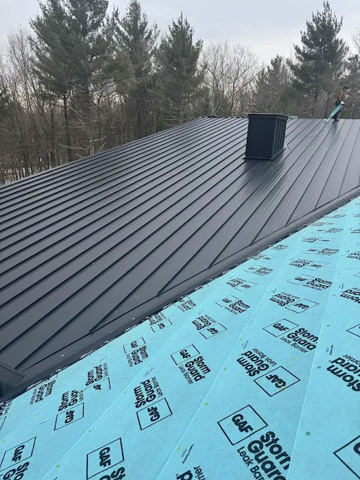 Modern Standing Seam Metal Roofing Picture 3