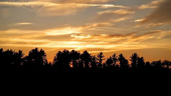 Richard Roofing Picture 1