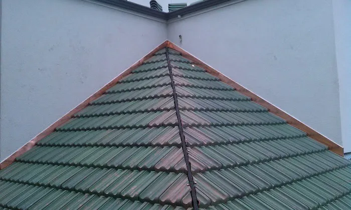 TekRoof Picture 5