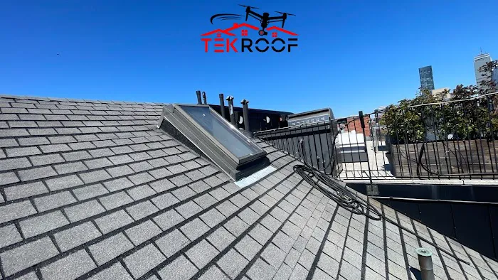 TekRoof Picture 7