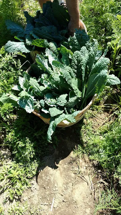 Metal Masters Custom Carpentry LLC Picture 2