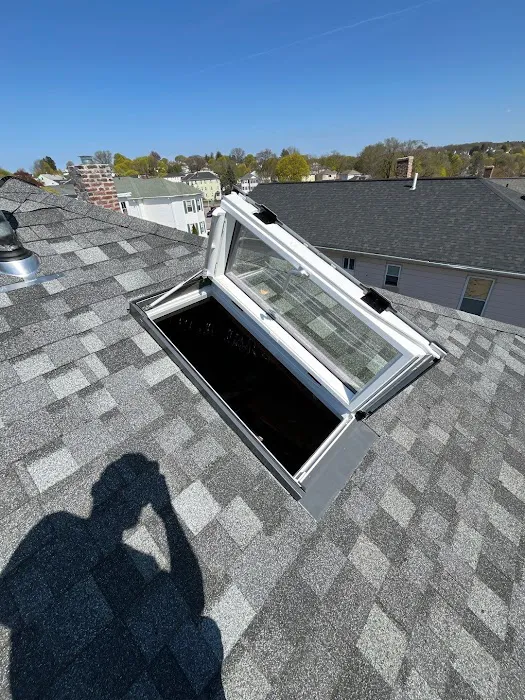Synergy Skylights and Roof Replacement Picture 2