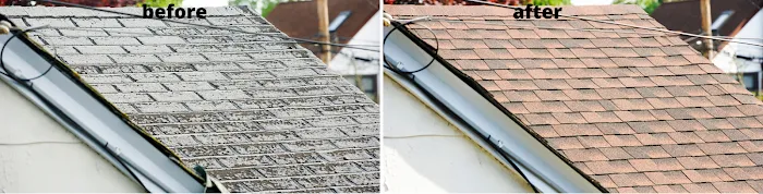 Choice construction Picture 7