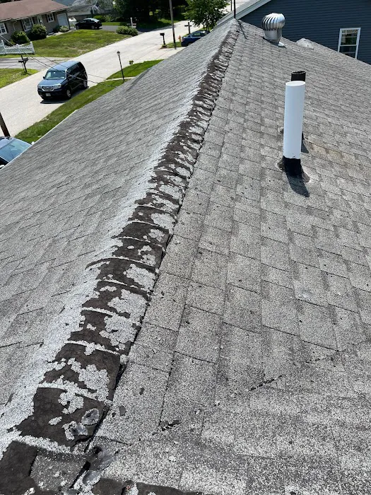 Choice construction Picture 1