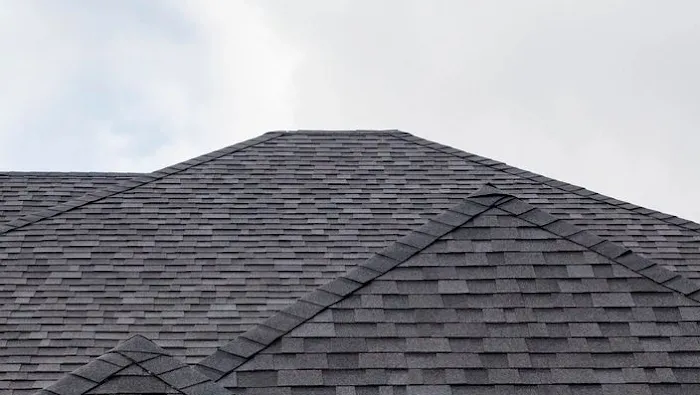 BHI Roofing Picture 1