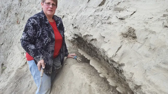 Dayco Inc. Picture 5