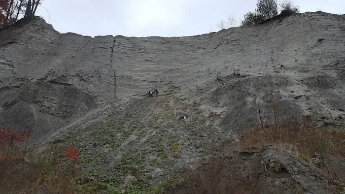 Dayco Inc. Picture 8