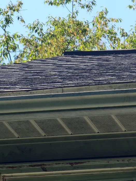 Witz Roofing Picture 2