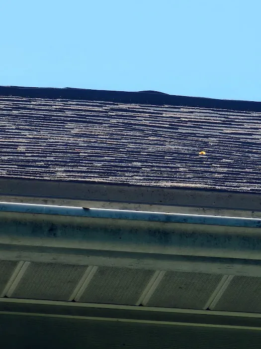 Witz Roofing Picture 3