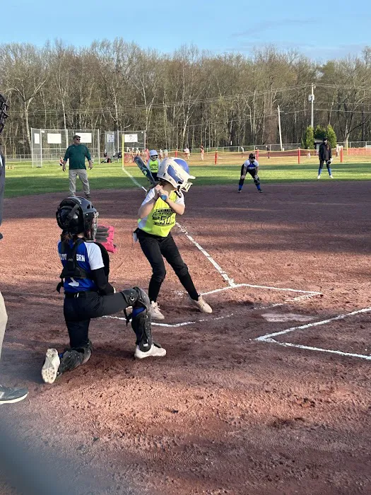 Charbonneau Roofing Picture 5