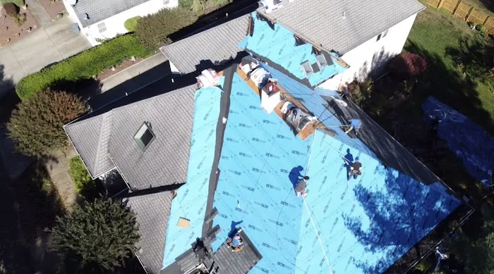 Sky Shield Picture 7