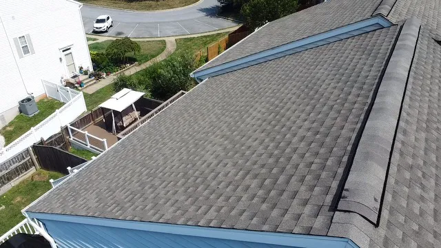 Sky Shield Picture 2