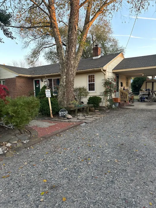 BMD Construction & Roofing Picture 3