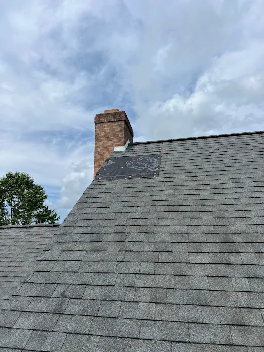One Vision Roofing Picture 6