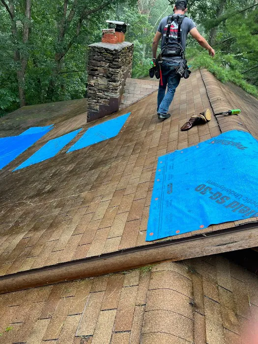 Seipp Roofing, LLC Picture 4