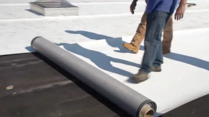 Mallard Exteriors Picture 10