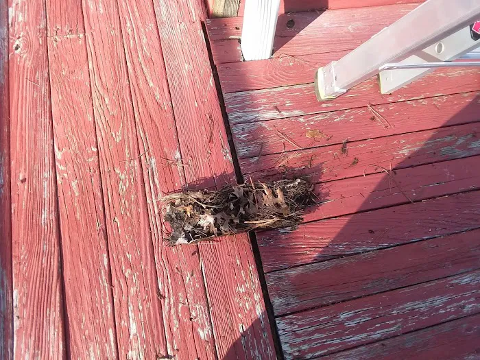 South County Seamless Gutters Picture 9