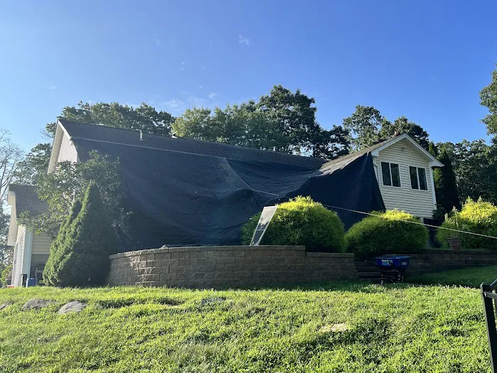 Busy Beaver Roofing Picture 1