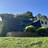 Busy Beaver Roofing ico