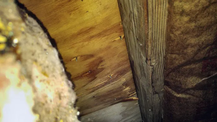 Above All Roofing Picture 4