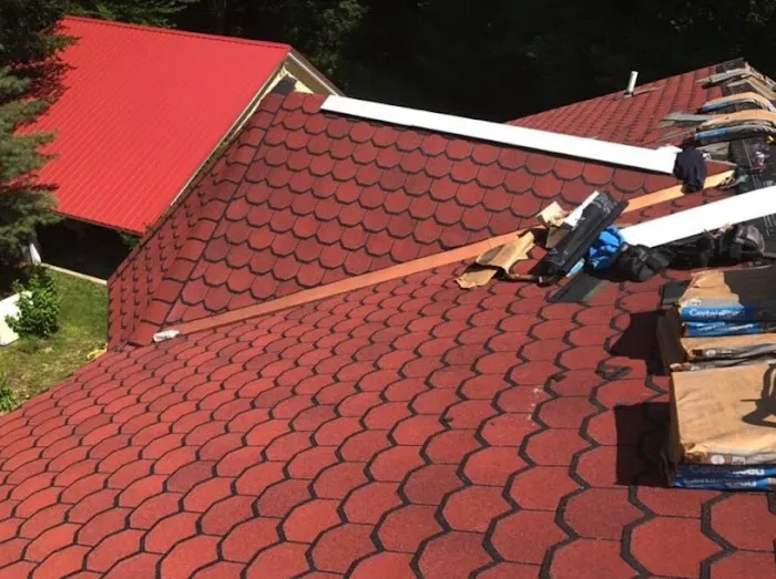 Roof Doctors Picture 5