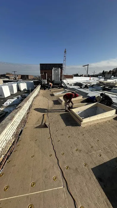 GoTech Roofing Picture 10