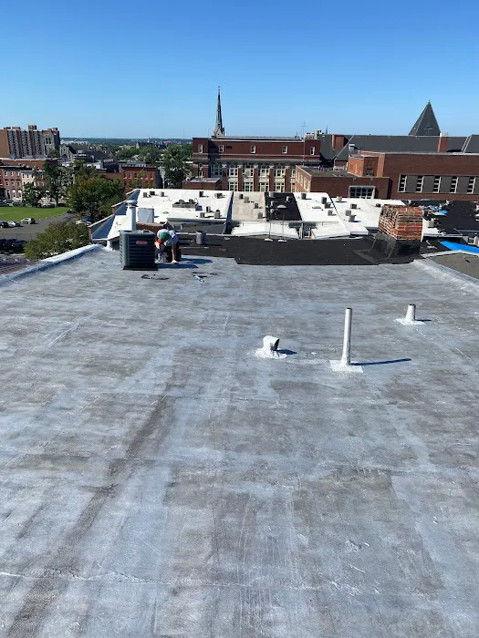 AAAS ROOFING Picture 5