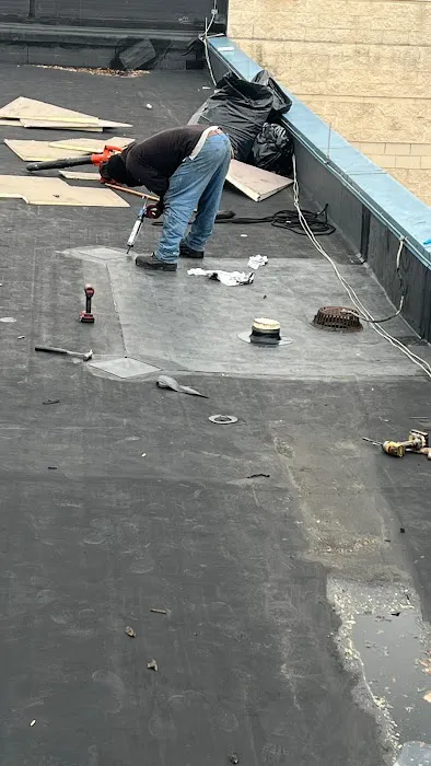 AAAS ROOFING Picture 4