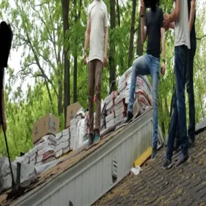 Regal Roofing Picture 1