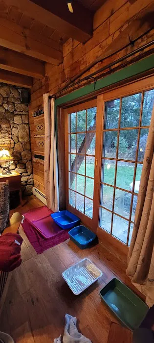 Scituate Roofing & Exteriors Picture 1