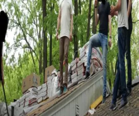 Lion Roofing